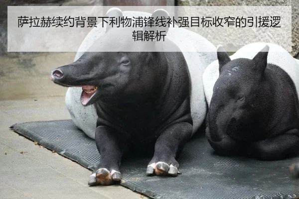 萨拉赫续约背景下利物浦锋线补强目标收窄的引援逻辑解析